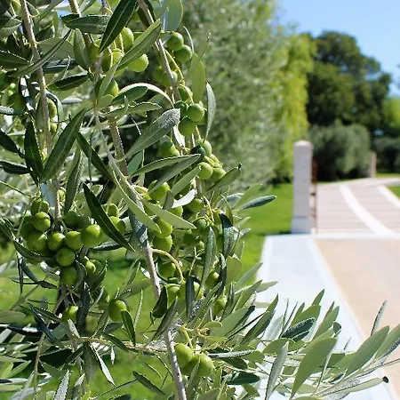 Borgo Romantico Relais Hotel Cavaion Veronese