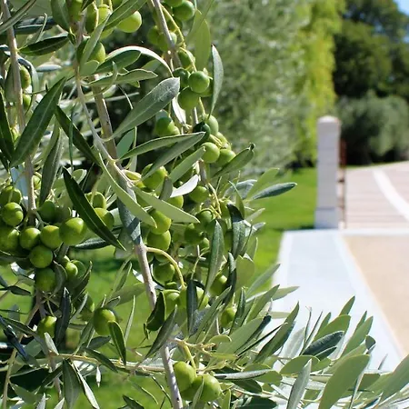 Borgo Romantico Relais