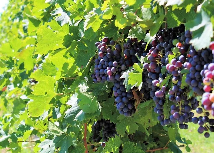 Hotel Borgo Romantico Relais